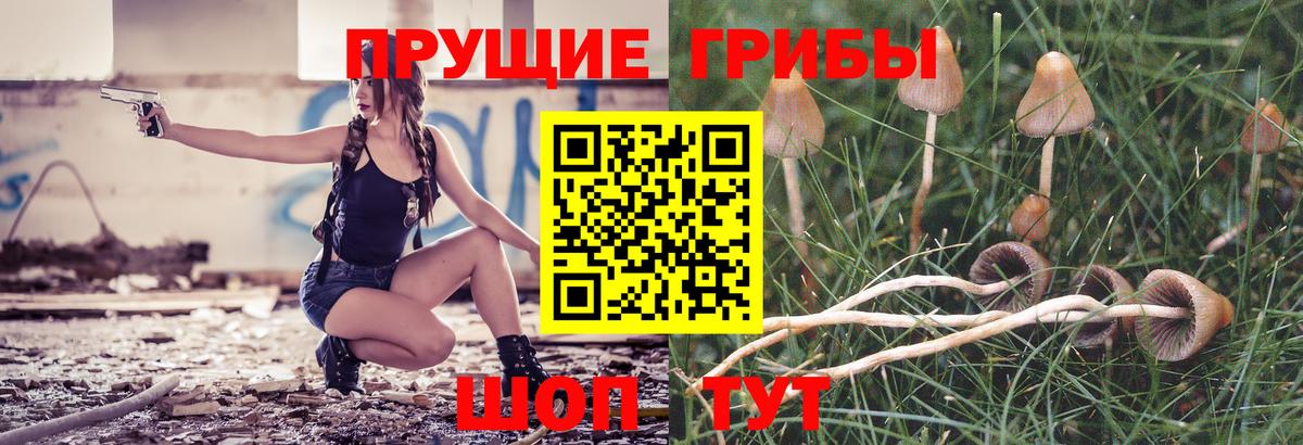 наркотики  Галлюциногенные грибы Magic Shrooms  Вход с VPN  Клин 