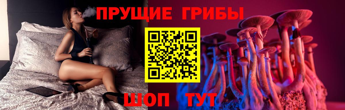Псилоцибиновые грибы MAGIC MUSHROOMS Клин